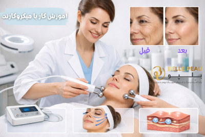 آموزش کار با میکروکارنت